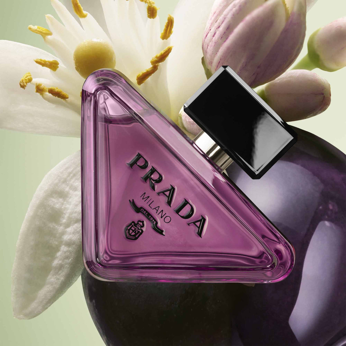 Prada Paradoxe Purple Eau De Parfum 90ml Spray - Tophatter Daily Deals