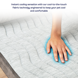 PupChill™ Cooling Bolster Dog Bed Pet Beds - Tophatter Daily Deals