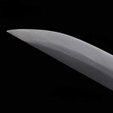 Qiankun Dual Blades - Tophatter Daily Deals