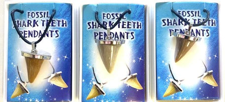 JUMBO SHARK TOOTH FOSSIL REPLICA NECKLACES IN INDIVIDUAL DISPLAY - Tophatter Daily Deals