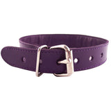 Rouge Garments Studded Collar – Leather Adjustable 19 Inch Collar > Bondage Gear > Collars & Leashes - Tophatter Daily Deals