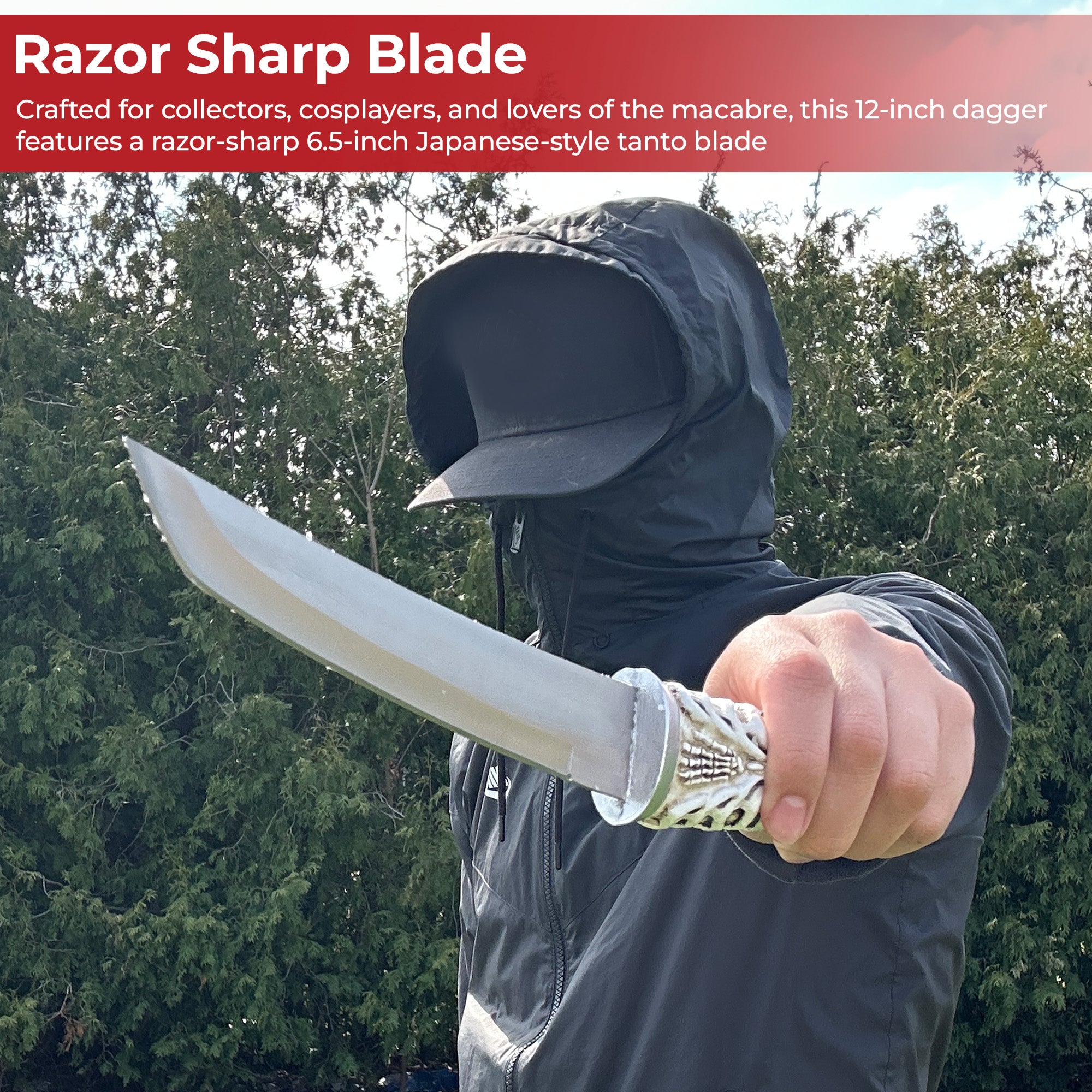 Rise from the Dead Skeleton Tanto Dagger Daggers - Tophatter Daily Deals