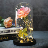 Beauty & The Beast Eternal Red Rose In Glass Dome with LED Lights Pink Flowers - Tophatter Daily Deals