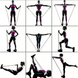Resistance Bands Set 11Pc Portable Full Body Kit Workout - Tophatter Daily Deals