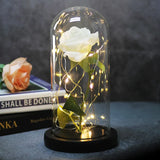 Beauty & The Beast Eternal Red Rose In Glass Dome with LED Lights White Flowers - Tophatter Daily Deals