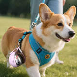 2-in-1 Portable Dog Water Bottle for Small Dogs - Leak-Proof Dog Water Bottles - Tophatter Daily Deals