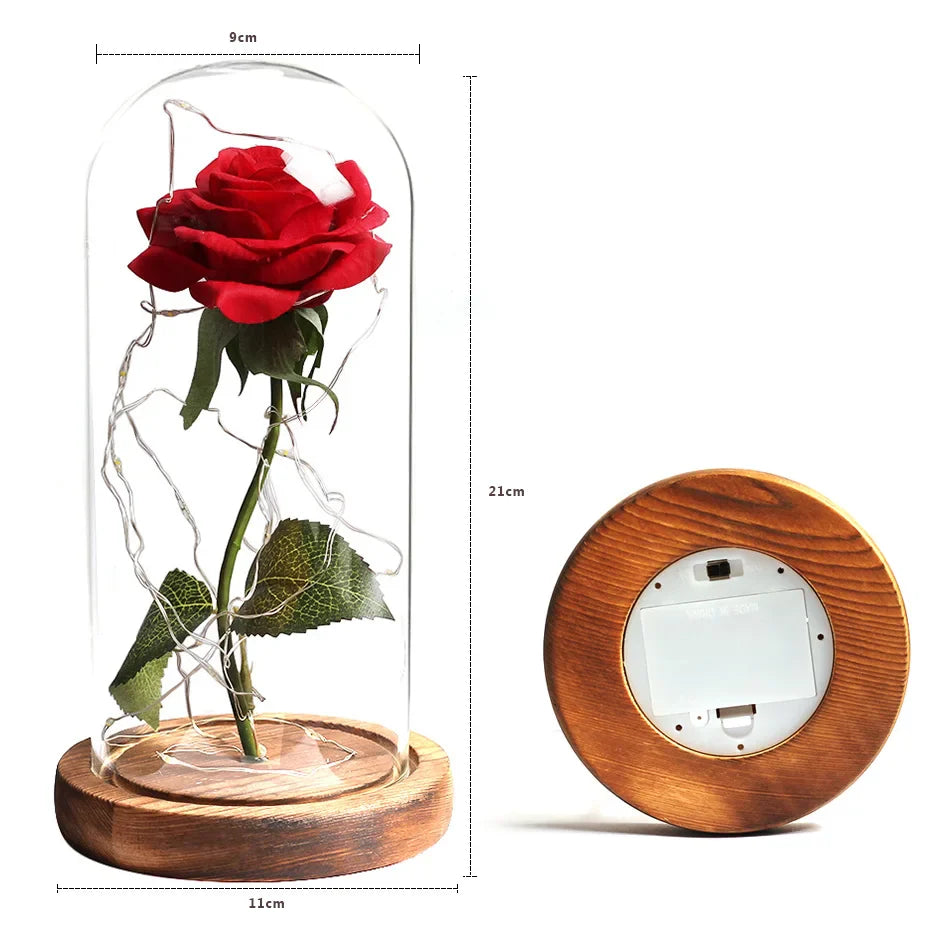 Beauty & The Beast Eternal Red Rose In Glass Dome with LED Lights Flowers - Tophatter Daily Deals