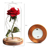 Beauty & The Beast Eternal Red Rose In Glass Dome with LED Lights Flowers - Tophatter Daily Deals
