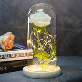 Beauty & The Beast Eternal Red Rose In Glass Dome with LED Lights Ivory Flowers - Tophatter Daily Deals