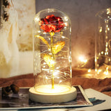 Beauty & The Beast Eternal Red Rose In Glass Dome with LED Lights Flowers - Tophatter Daily Deals