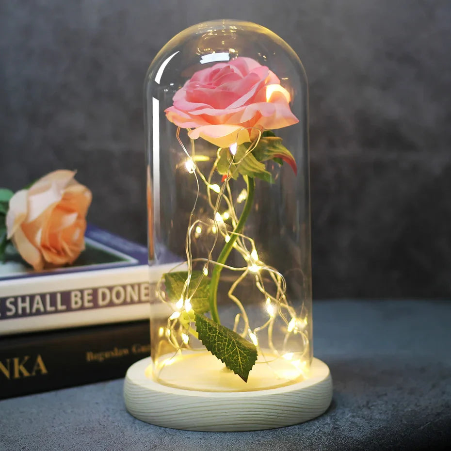 Beauty & The Beast Eternal Red Rose In Glass Dome with LED Lights Mid Pink Flowers - Tophatter Daily Deals