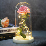 Beauty & The Beast Eternal Red Rose In Glass Dome with LED Lights Mid Pink Flowers - Tophatter Daily Deals
