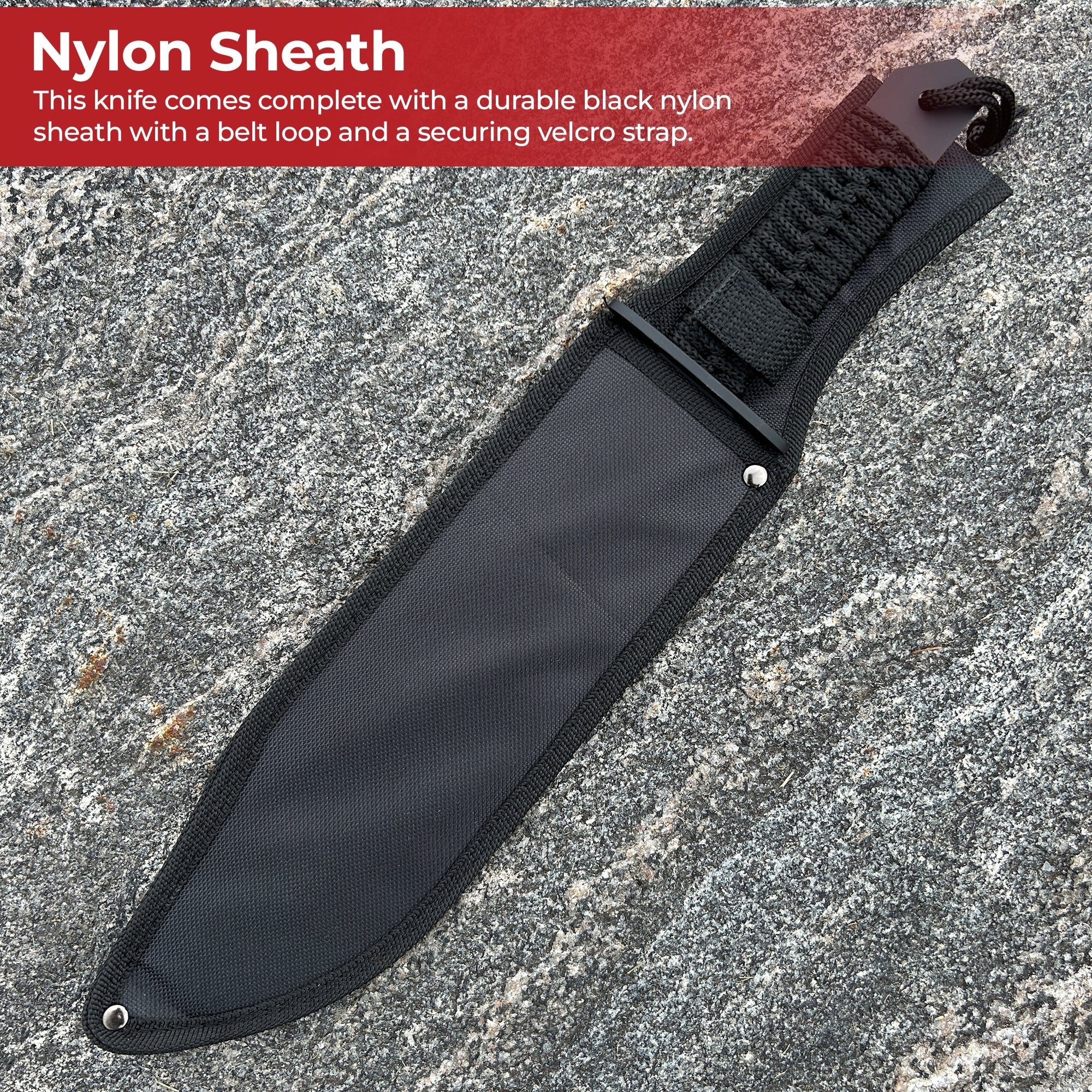 Sawback Bowie Full Tang Survival Knife knives - Tophatter Daily Deals