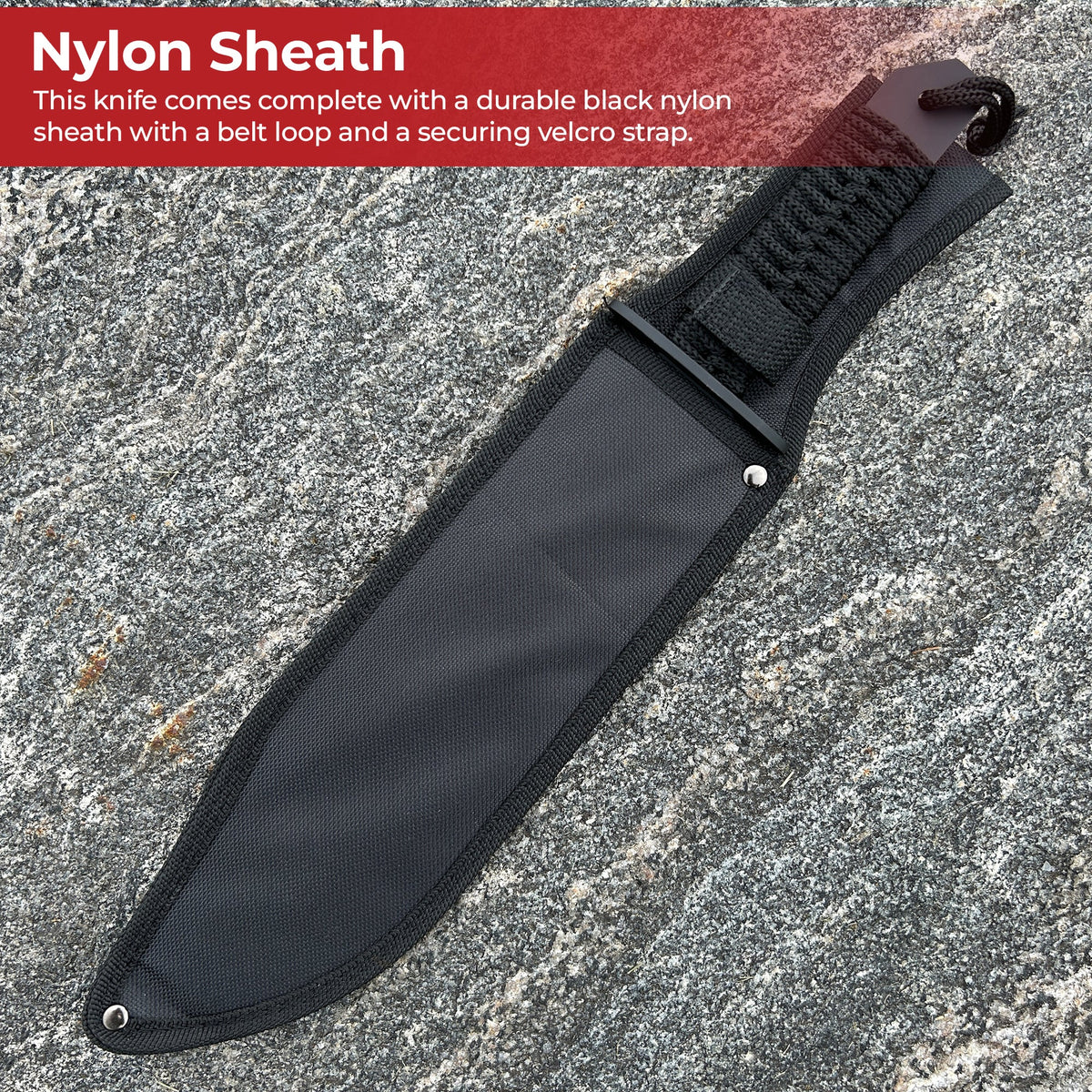 Sawback Bowie Full Tang Survival Knife knives - Tophatter Daily Deals