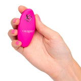 CalExotics Remote Dual Motor Kegel System – Remote-Controlled Kegel Vibrator > Sex Toys For Ladies > Kegel Exercise - Tophatter Daily Deals