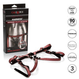 Her Royal Harness The Regal Duchess Harnesses - Tophatter Daily Deals