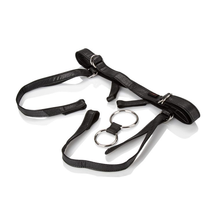 Her Royal Harness The Duchess Harnesses - Tophatter Daily Deals