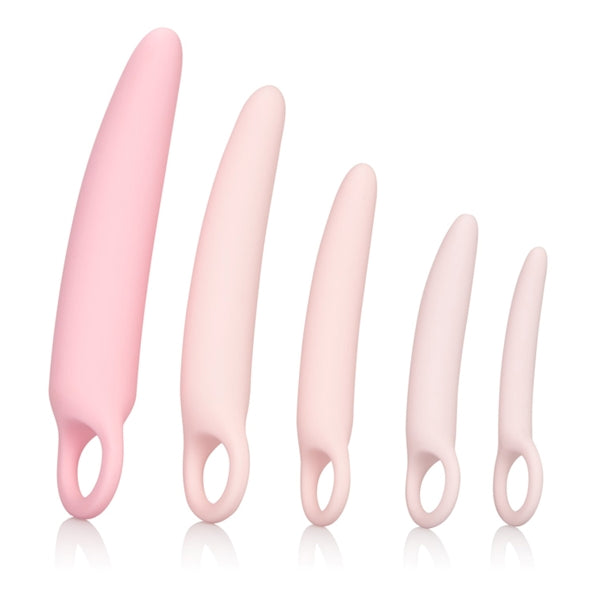 Inspire Silicone Dilator 5 Piece Set Dilators - Tophatter Daily Deals