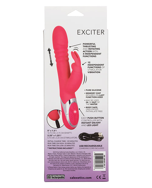 Enchanted Exciter Rabbits - Tophatter Daily Deals