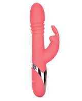 Enchanted Exciter Rabbits - Tophatter Daily Deals
