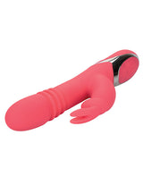 Enchanted Exciter Rabbits - Tophatter Daily Deals