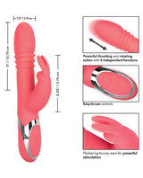 Enchanted Exciter Rabbits - Tophatter Daily Deals