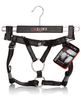 Her Royal Harness The Duchess Harnesses - Tophatter Daily Deals