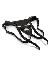 Her Royal Harness The Queen Harnesses - Tophatter Daily Deals