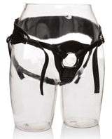 Her Royal Harness The Queen Harnesses - Tophatter Daily Deals