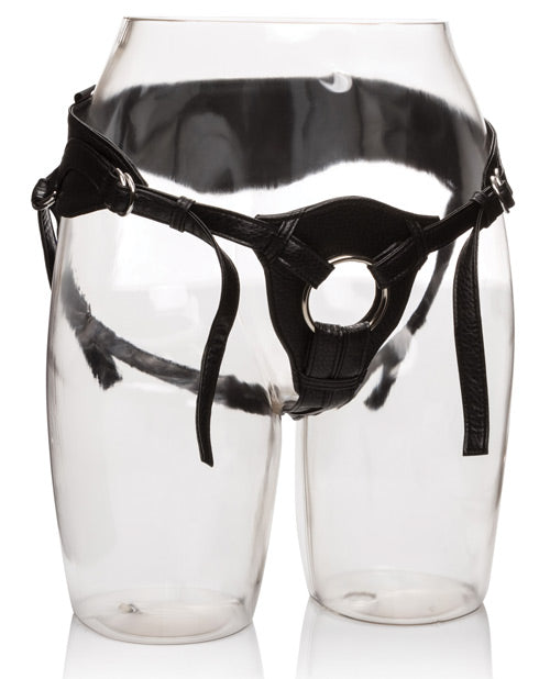 Her Royal Harness The Queen Harnesses - Tophatter Daily Deals