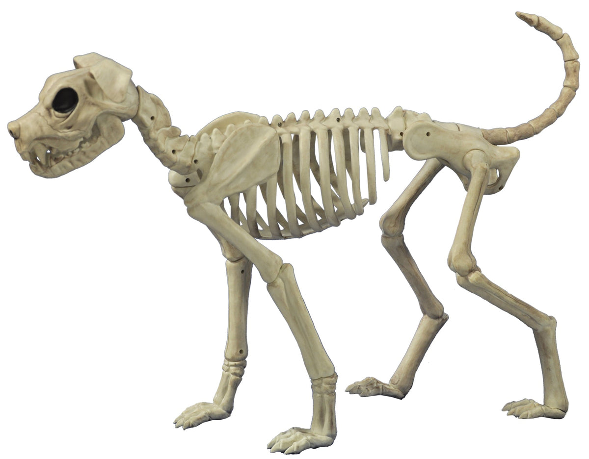 Buster Bonez Halloween Props & Displays - Tophatter Daily Deals