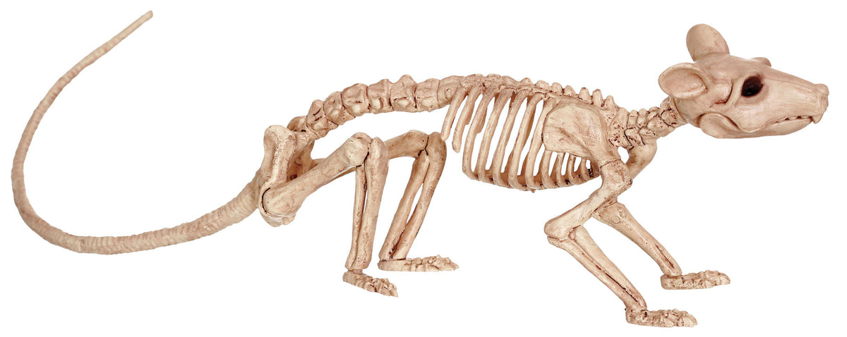 Rat Skeleton Halloween Skeleton Decorations - Tophatter Daily Deals