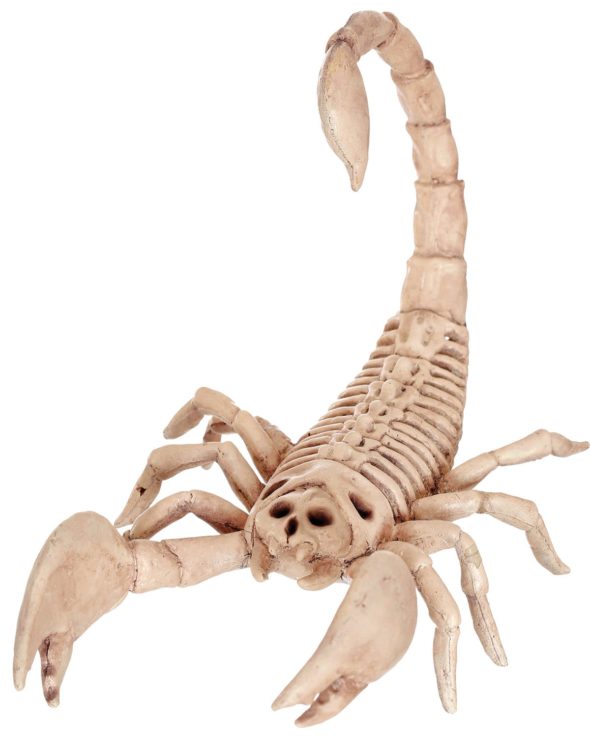 Scorpion Skeleton Halloween Skeleton Decorations - Tophatter Daily Deals