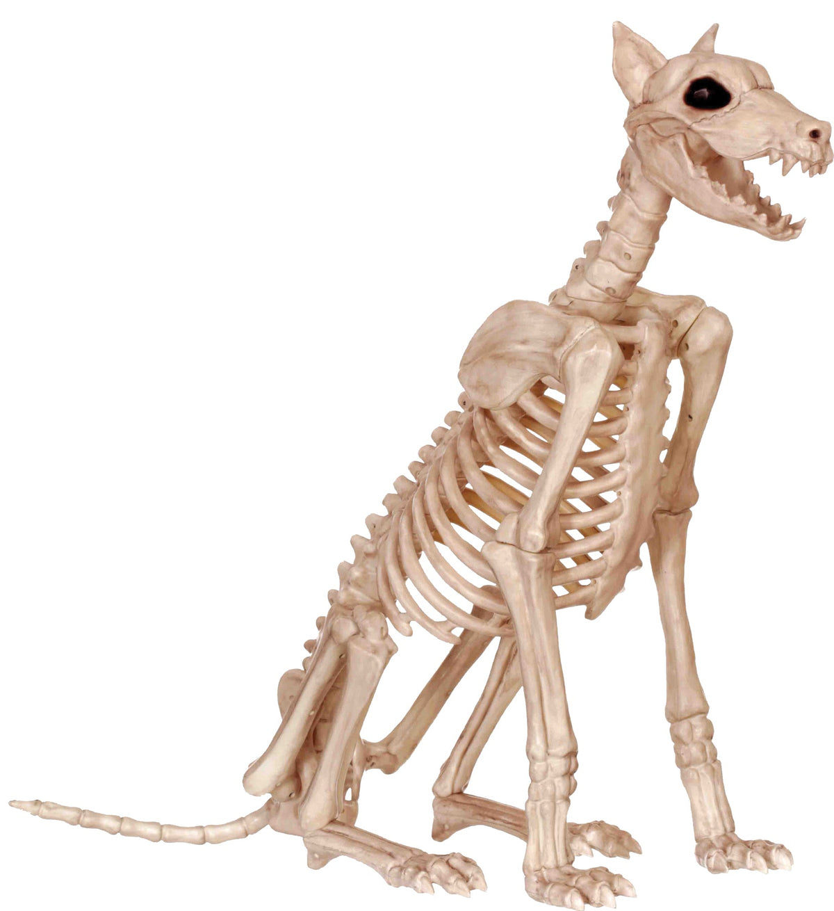 Skeleton Doberman Halloween Skeleton Decorations - Tophatter Daily Deals