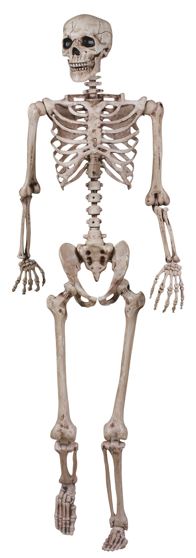62" Skeleton Poseable Halloween Skeleton Decorations - Tophatter Daily Deals