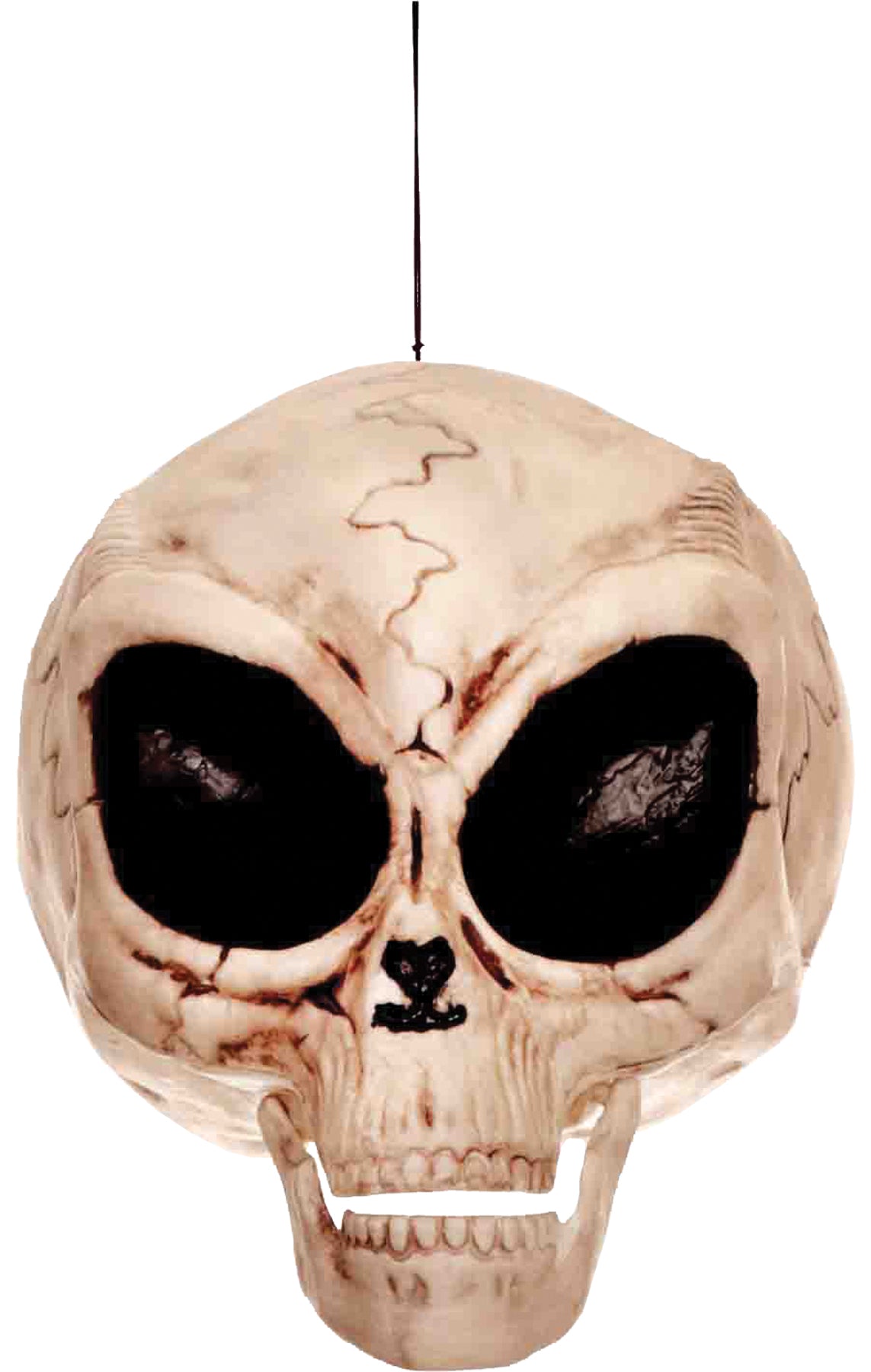 Alien Skull Halloween Skeleton Decorations - Tophatter Daily Deals