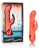 Orange County Cutie Rabbits - Tophatter Daily Deals