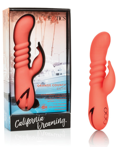 Orange County Cutie Rabbits - Tophatter Daily Deals