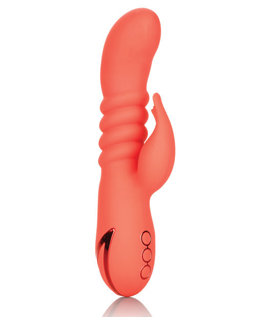 Orange County Cutie Rabbits - Tophatter Daily Deals