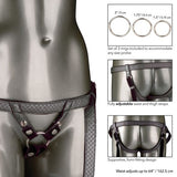 Her Royal Harness The Regal Duchess Harnesses - Tophatter Daily Deals