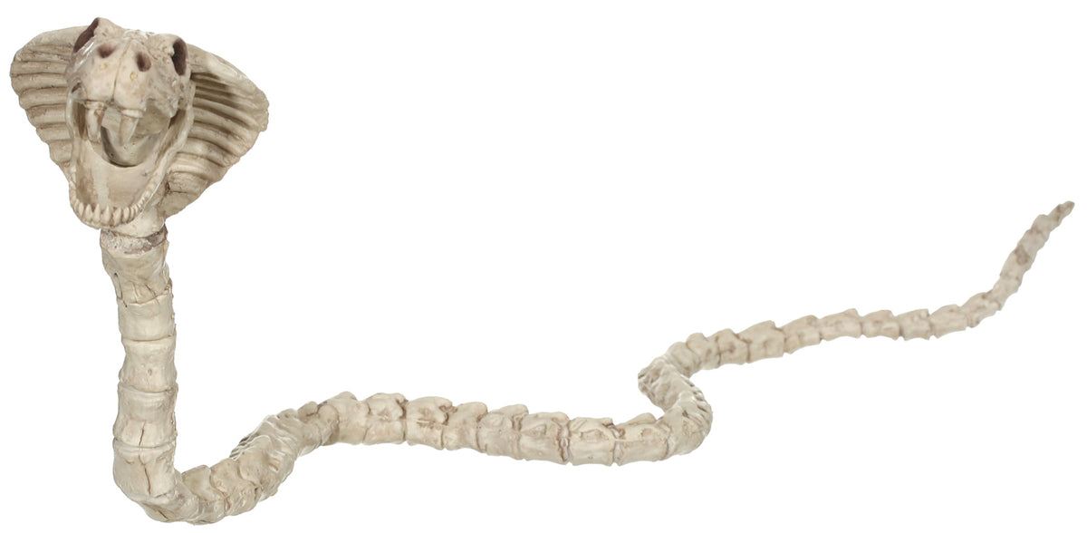 Skeleton Cobra Halloween Skeleton Decorations - Tophatter Daily Deals