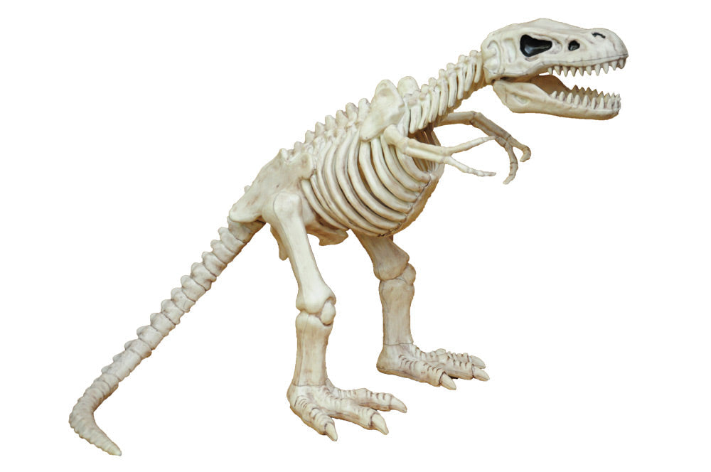 16" T-Rex Skeleton Halloween Skeleton Decorations - Tophatter Daily Deals
