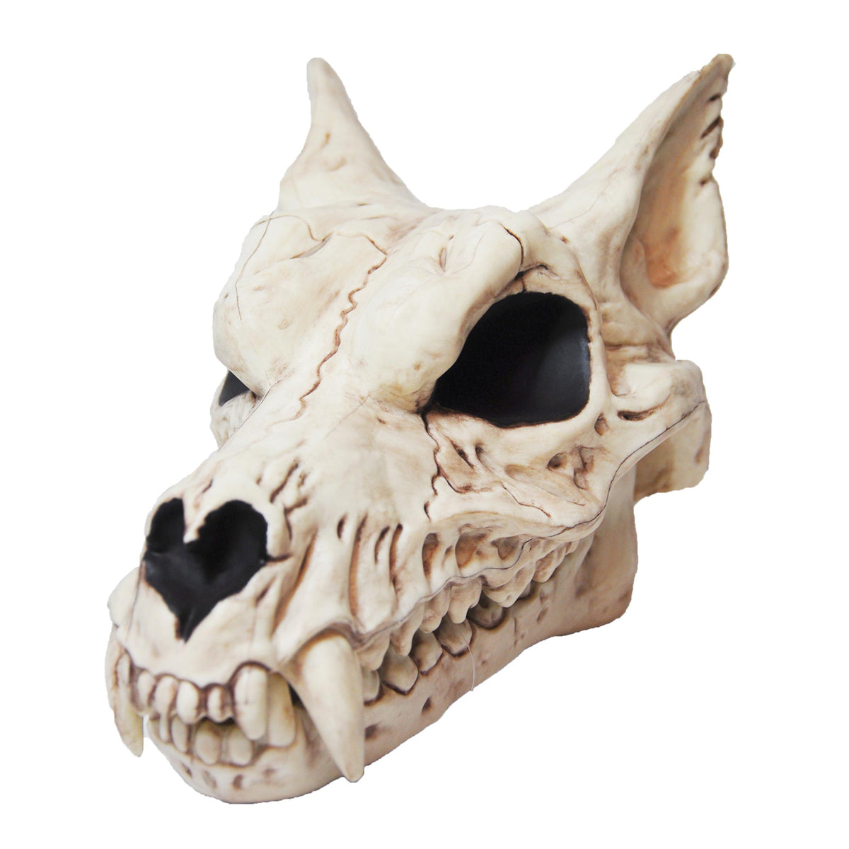 Werewolf Skull Halloween Skeleton Decorations - Tophatter Daily Deals