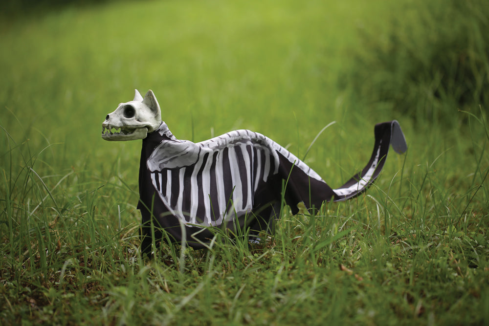 Cat Lawn Stake Halloween & Party Essentials - Tophatter Daily Deals