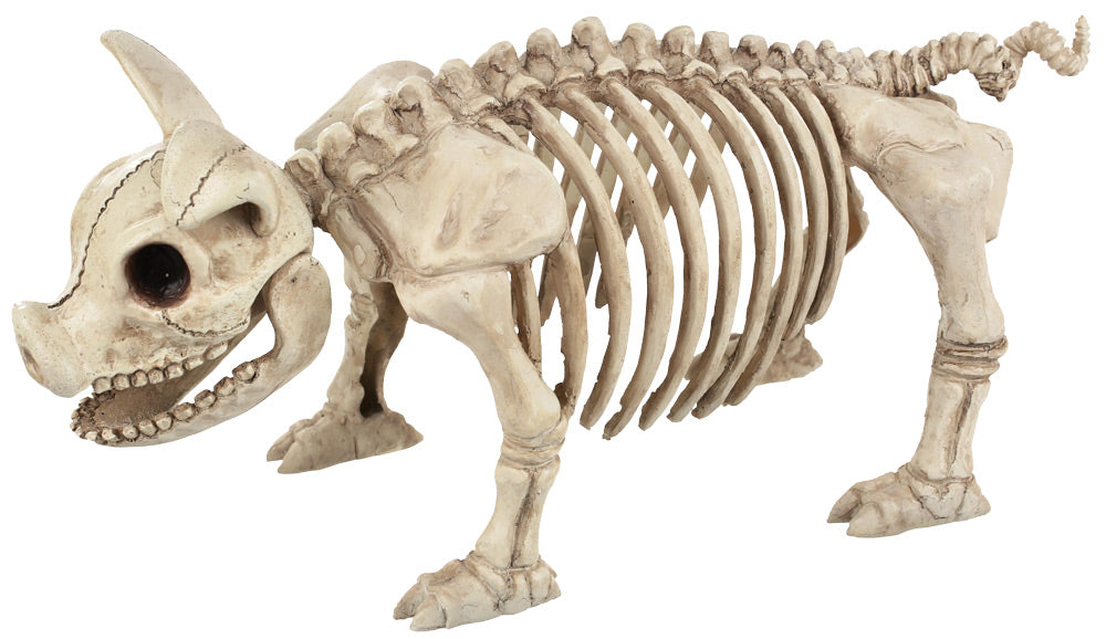 Pig Skeleton Halloween Skeleton Decorations - Tophatter Daily Deals