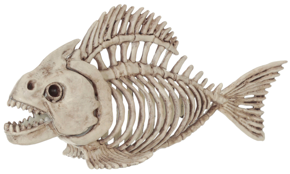 5" Skeleton Fish Halloween Skeleton Decorations - Tophatter Daily Deals