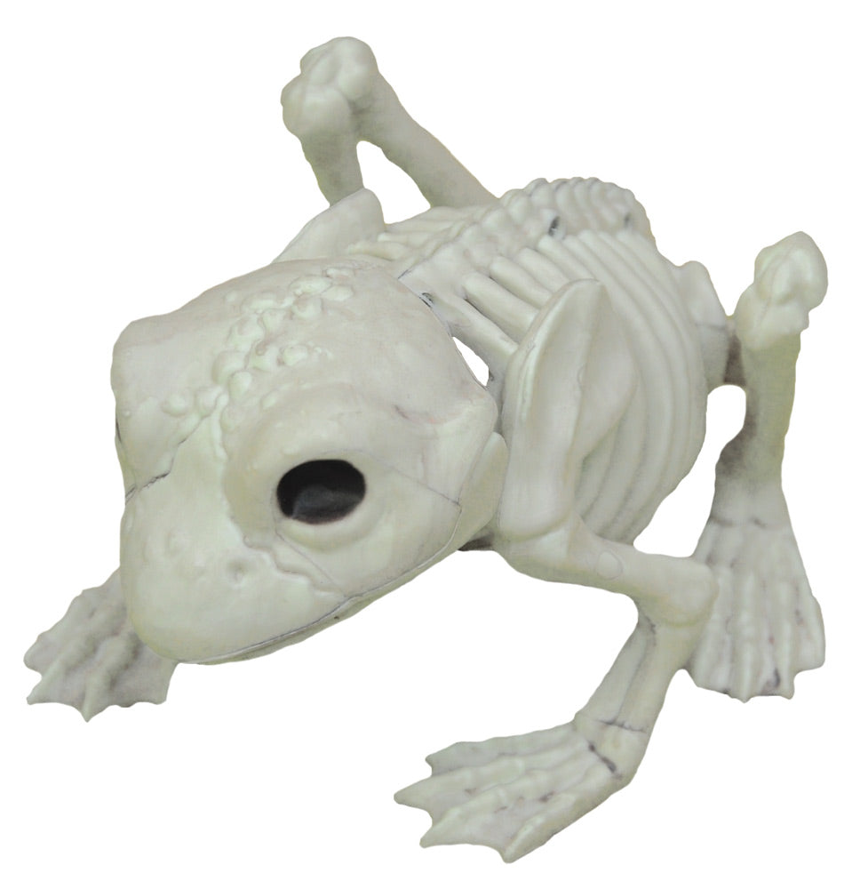 Frog Skeleton Halloween Skeleton Decorations - Tophatter Daily Deals