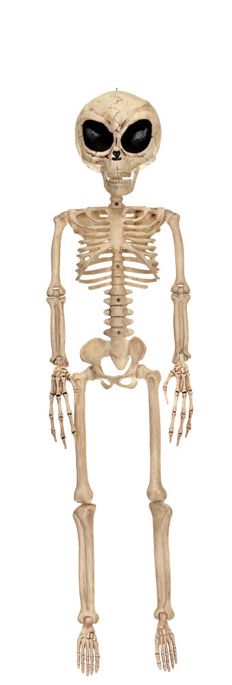 ALIEN SKELETON BONE COLOR 37IN Halloween Skeleton Decorations - Tophatter Daily Deals