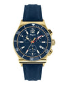 Ferragamo 1898 Sport Strap Watch Gold Watches - Tophatter Daily Deals