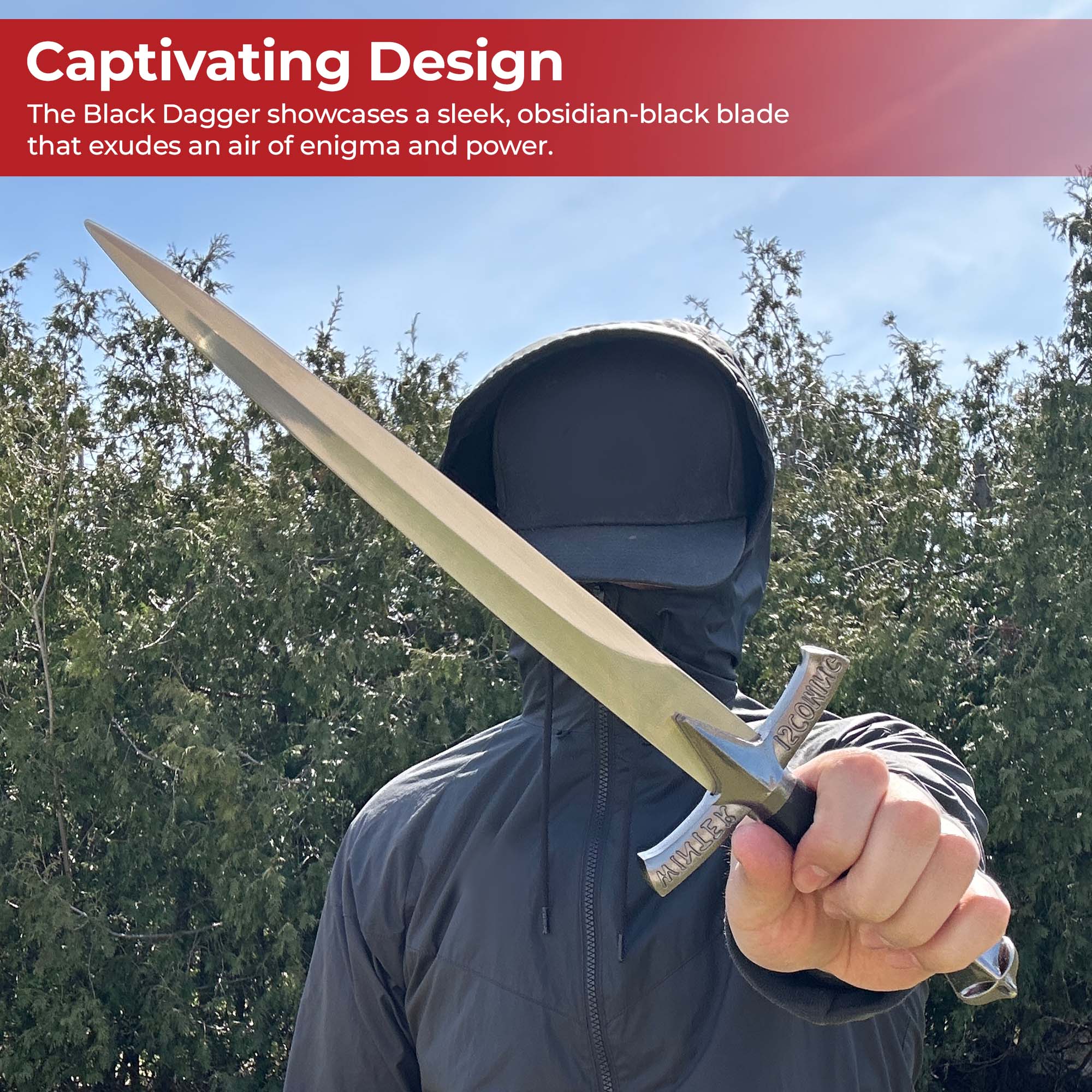 Shadow Embrace Winter Is Coming Engraved Black Dagger with Metal Fittings Dagger - Tophatter Daily Deals